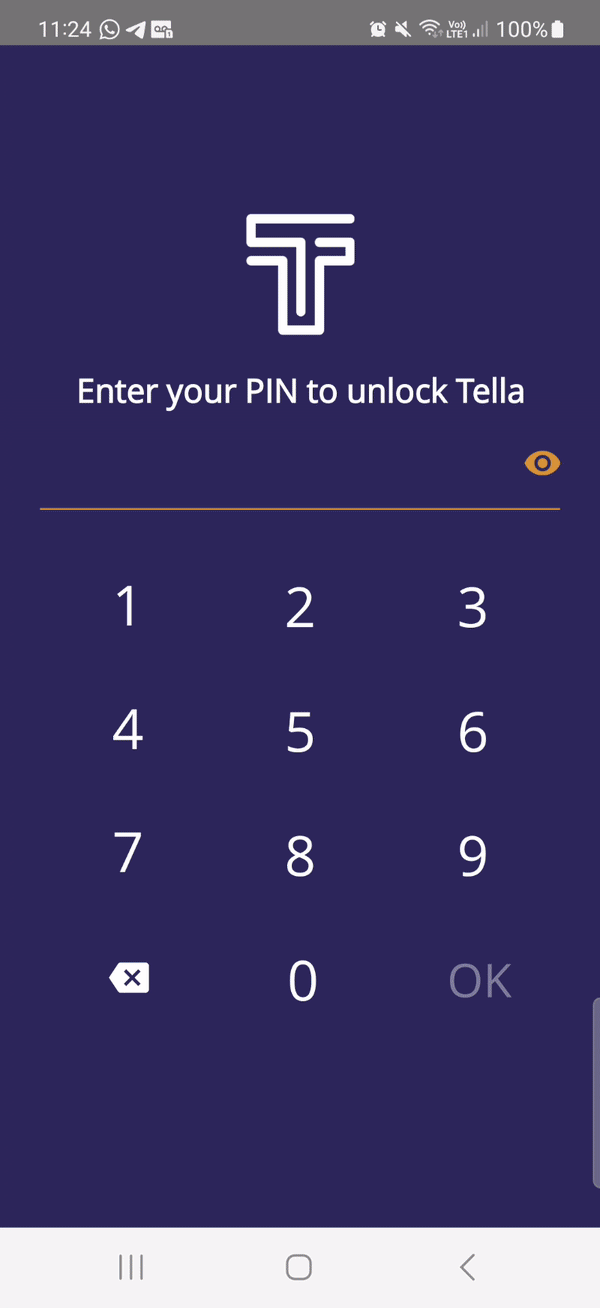 take a picture in Tella gif that shows how to take a picture in Tella